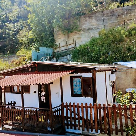 Bungalow Sixdays 2 Camporosso  Exterior foto